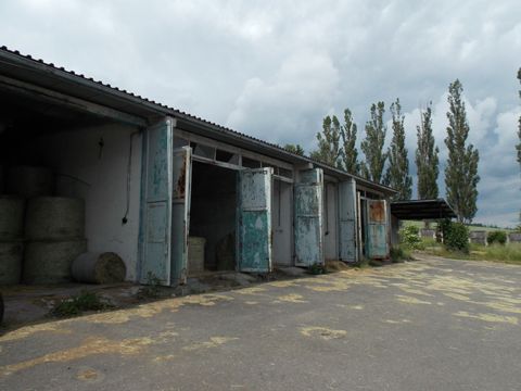 Foto 8